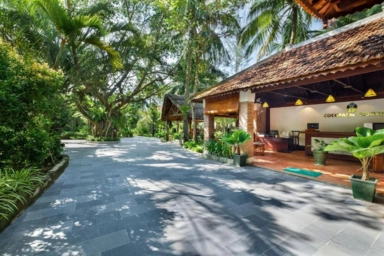 CocoPalm
